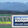 Business Partner - Image 6
