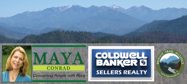 Maya Conrad - Coldwell Bankers
