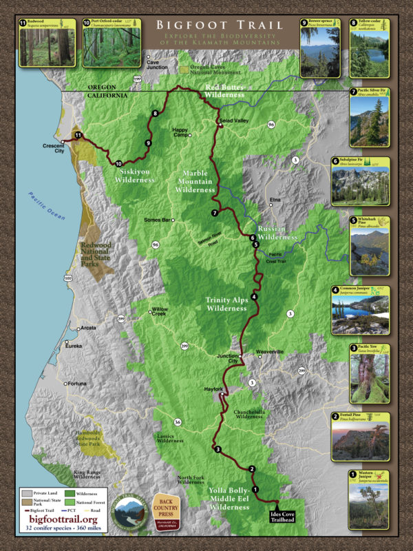 Bigfoot Trail Poster