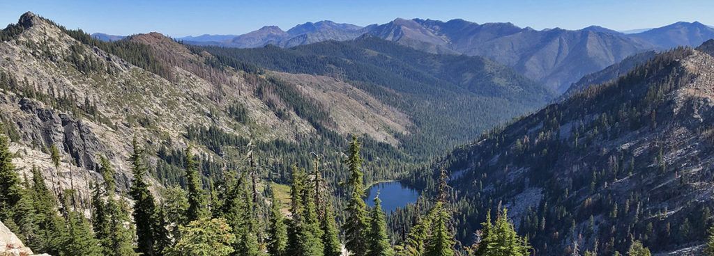 Big Trees of the Bigfoot Trail