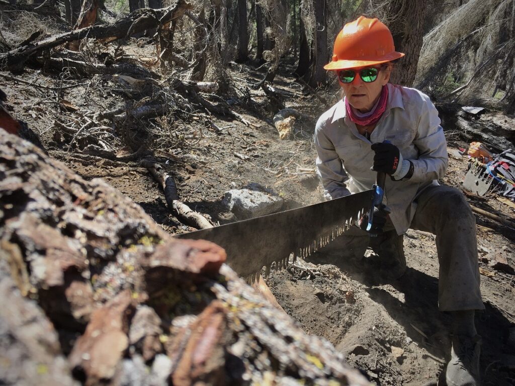 Using the crosscut saw