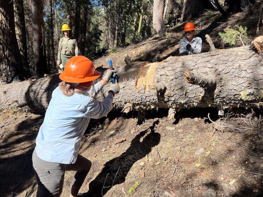 Using the crosscut saw