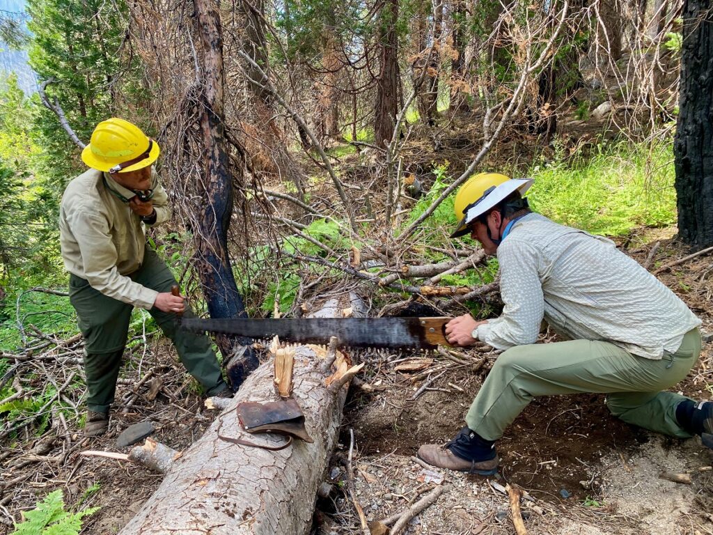 Using the crosscut saw