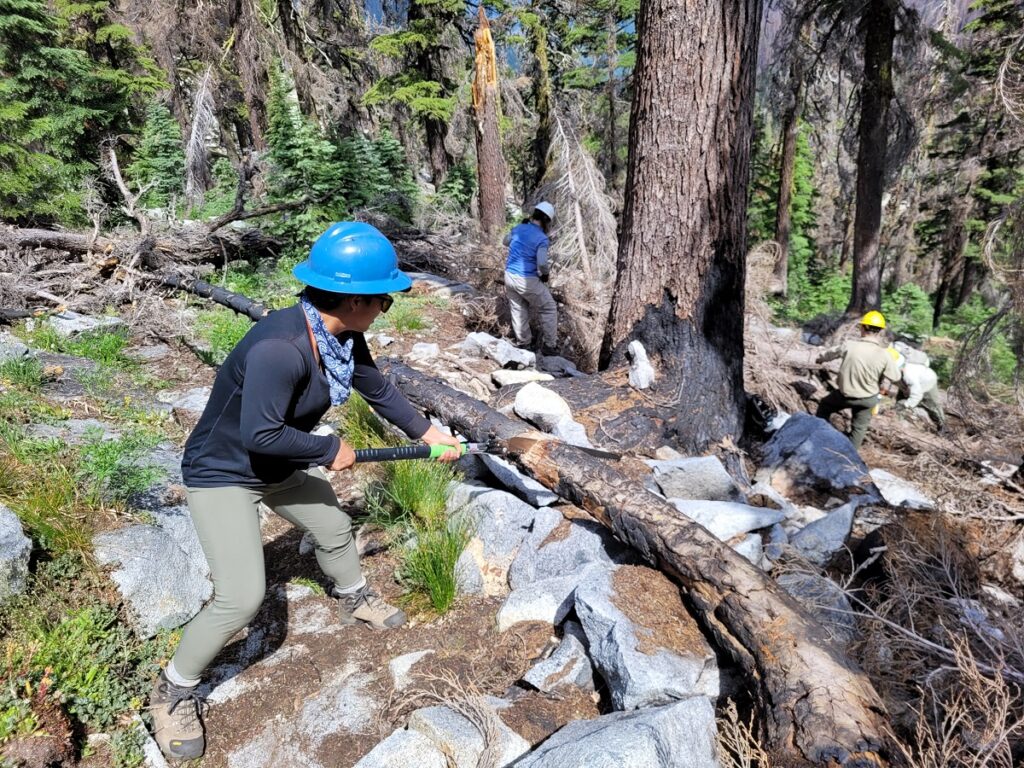 Using the crosscut saw