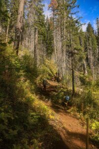 New trail, new tread.