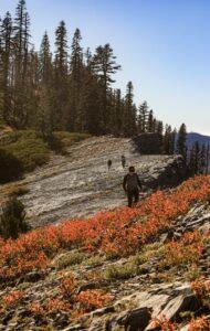 Taking half a day off on the Marble Rim.