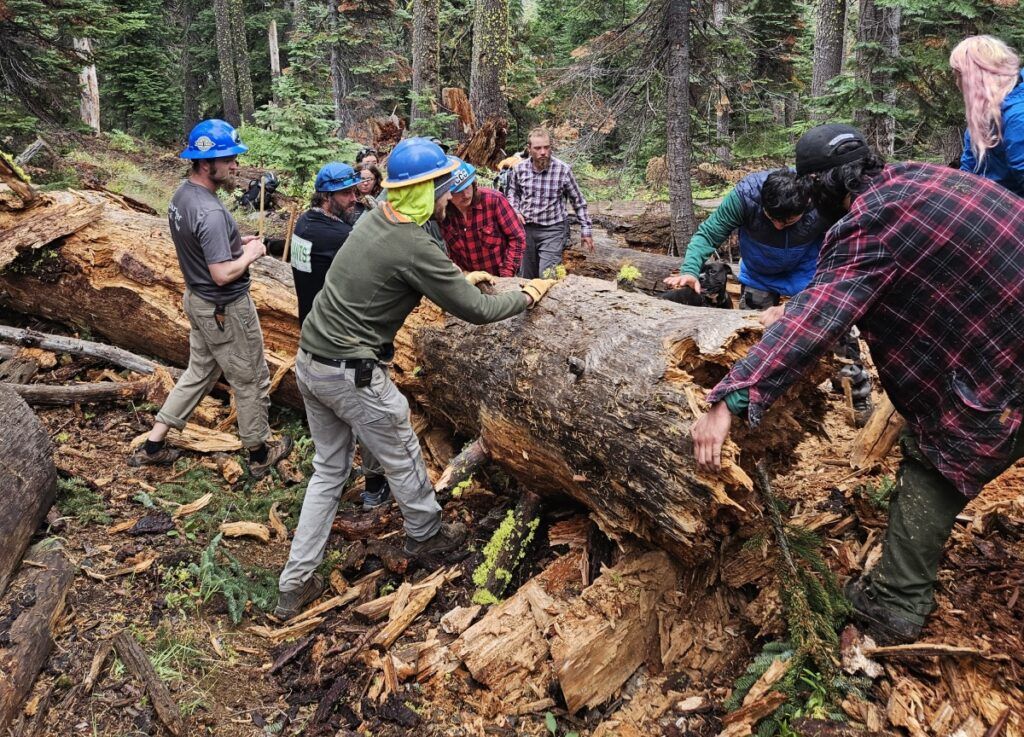 Clearing the trail 2.