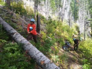 Clearing the trail.