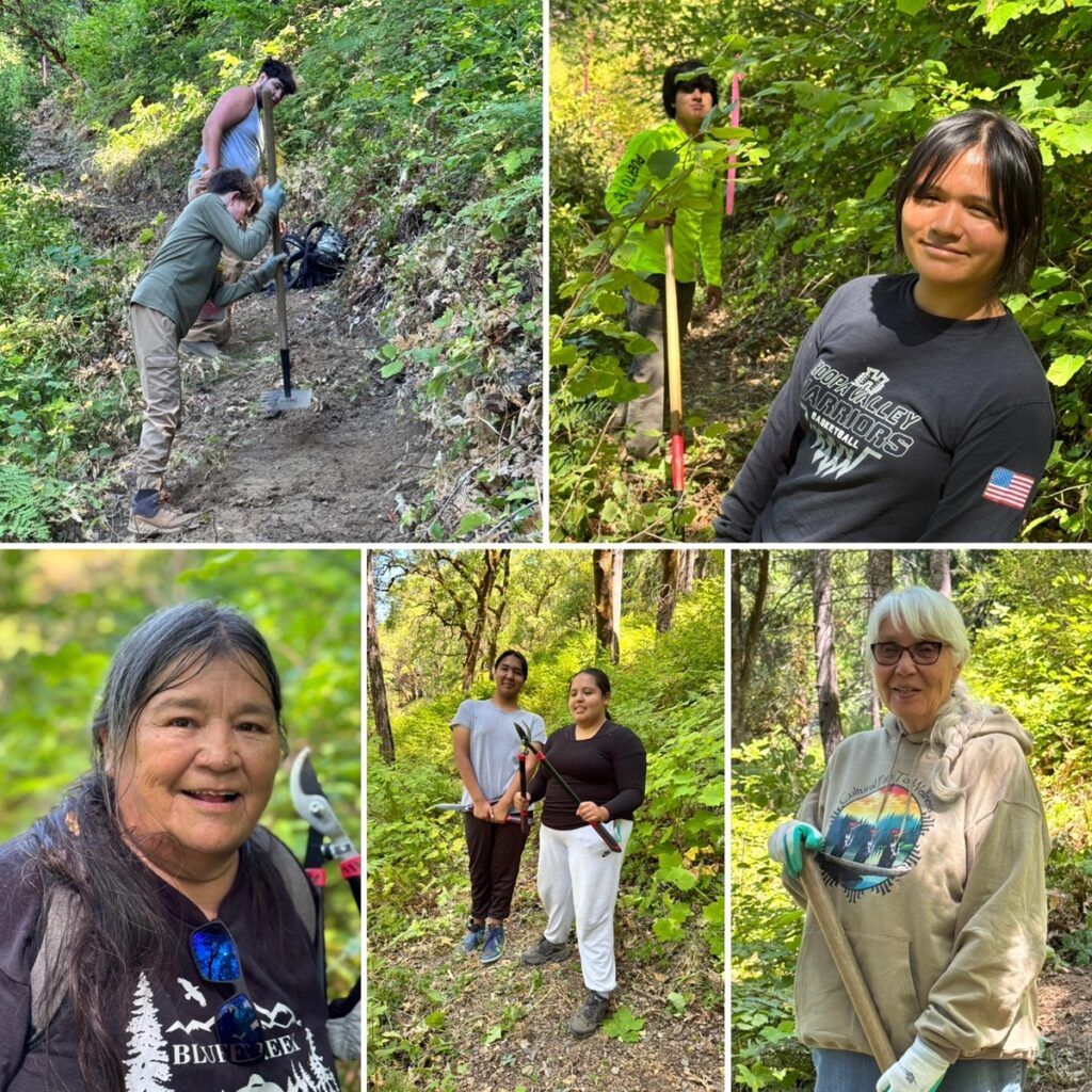 Working on the Hazel Trail.