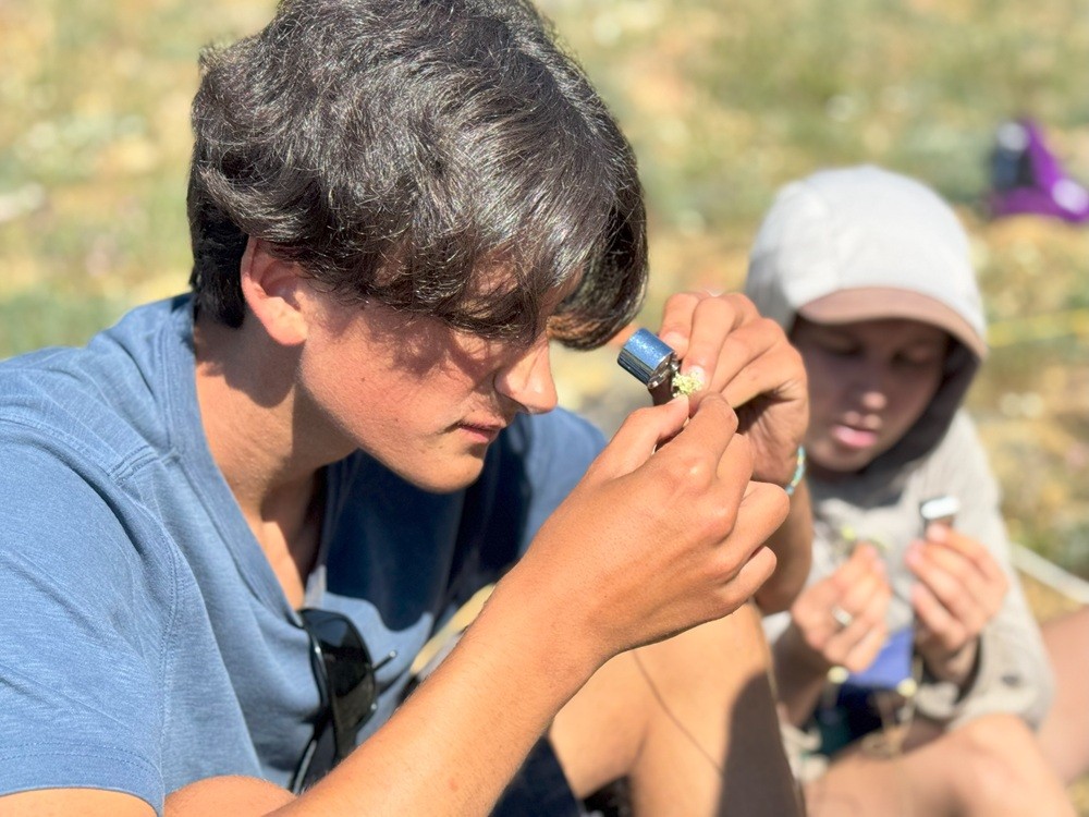 CNPS botanist Maeve Flynn teaches plant ID.