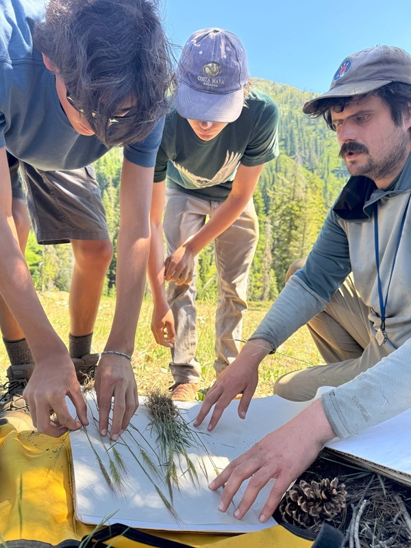 Cal Poly Humboldt grad student Jack Christy teaches plant pressing.
