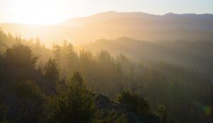 Tule Creek Watershed. Photo by Daniil Suchkov.