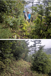 Blue Creek Trail 1 - Photos by Jacob Shinners.