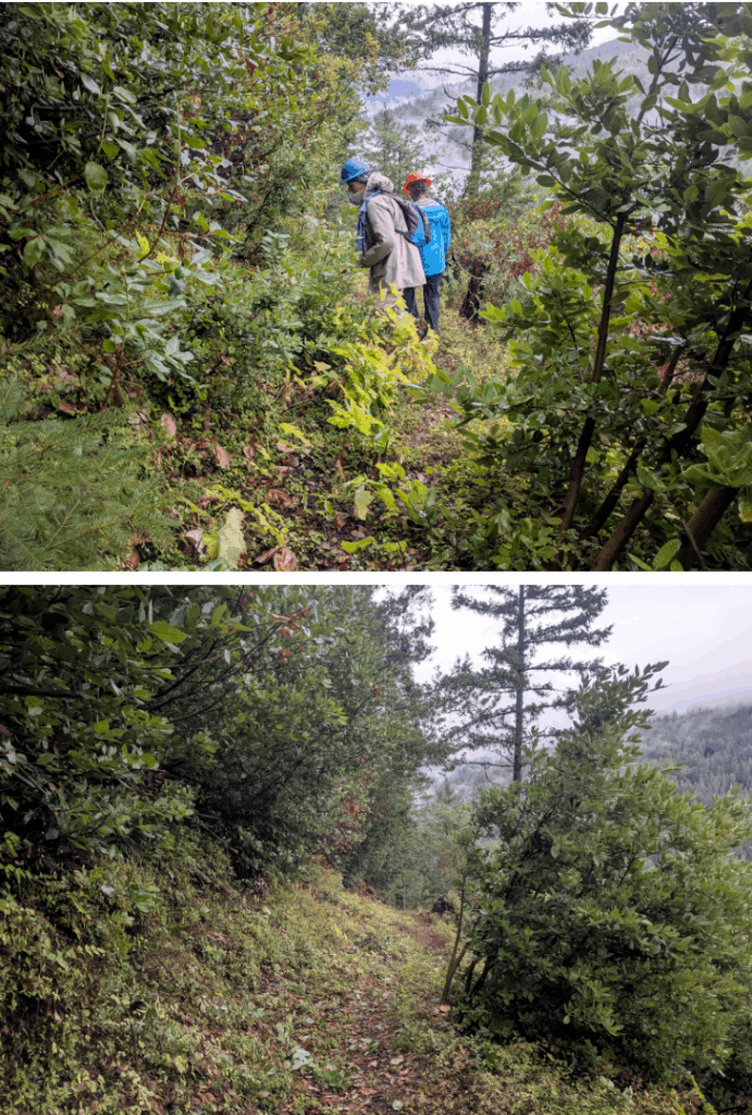 Blue Creek Trail 1 - Photos by Jacob Shinners.