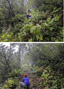 Blue Creek Trail 3 - Photos by Jacob Shinners.