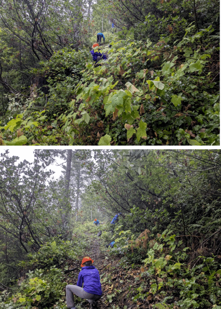 Blue Creek Trail 3 - Photos by Jacob Shinners.