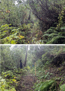 Blue Creek Trail 4 - Photos by Jacob Shinners.