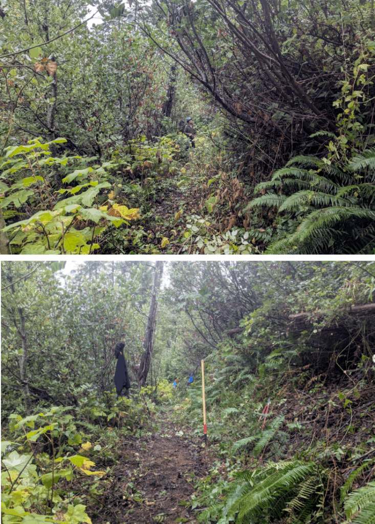 Blue Creek Trail 4 - Photos by Jacob Shinners.