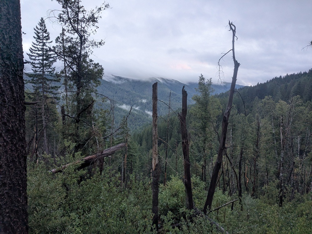 Blue Creek - Photos by Jacob Shinners.