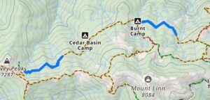 Trails Worked in Blue.