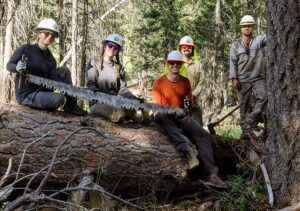 Forest Service Archives - Bigfoot Trail