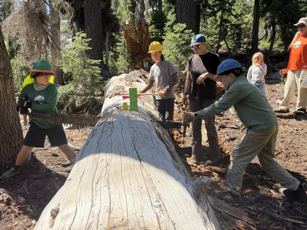 Cross cut sawing
