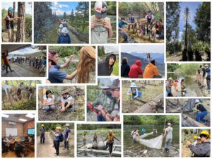Experiences from the Klamath Mountain Workforce Training Network in 2025-26.