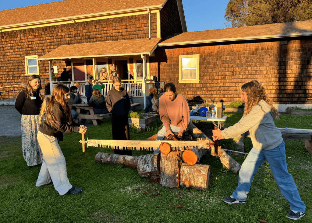 Volunteer Party